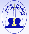 Shalom Bayit, Bay Area Jewish Women Working to end Domestic Violence
